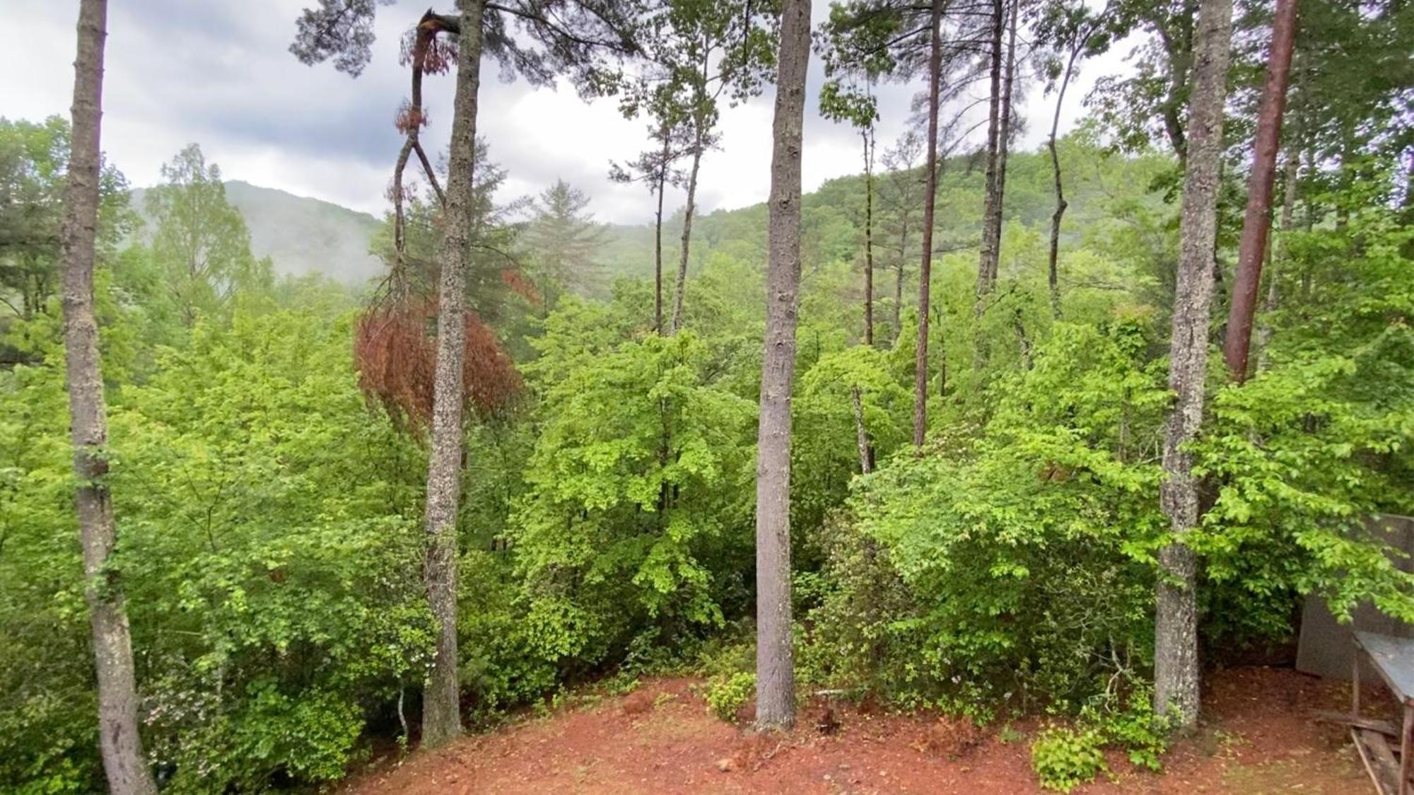 The Cozy Lazy Laurel With Year-Round Mountain Views, Hot Tub, Fire Pit Villa Cherry Log Екстериор снимка